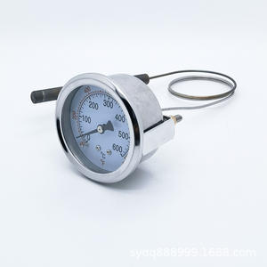 Termómetro Capilar de Plástico y Termostato, Controlador de Temperatura de 0-600 Grados, Ajuste de Temperatura - Product Image 1