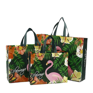 Sac fourre-tout réutilisable pour courses, avec logo personnalisé, laminé, non tissé, avec poignée en sangle PP, certifié ISO9001 et BSCI - Product Image 1