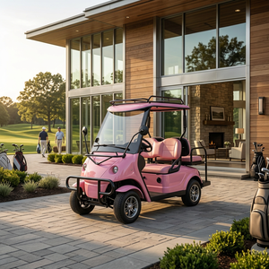Vehículo sin permiso Q8 con cabina abierta de asientos uno al lado del otro, volante, 4WD, freno de disco, 4 plazas, mini carrito de golf de nueva energía para ocio y resort - Product Image 1