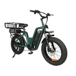 Support personalization 48V 10+20AH dual battery cargo bike electric ebike e-cargo family e bicycle 20"750 watt fat tire ebike