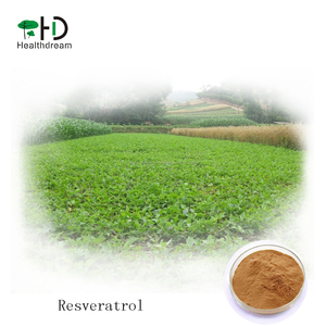 De alta calidad extracto de resveratrol en polvo 50% en polvo a granel - Product Image 2