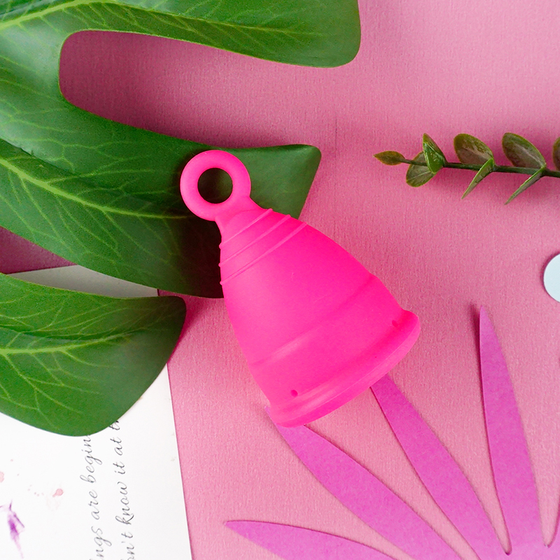 Rosa in sacchetto del opp