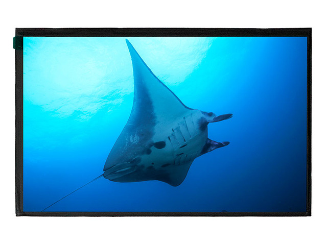 10.1 Inch 1280x800 IPS LCD LVDS 400 Cd/m² 800:1 Contrast -20~+55℃ Industrial Display Patient Monitor
