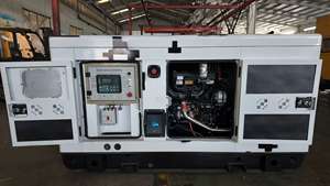 Generatore Diesel Silenzioso Trifase Weichai 20KW per Alimentazione di Backup, Vendita Diretta dalla Fabbrica - Product Image 3