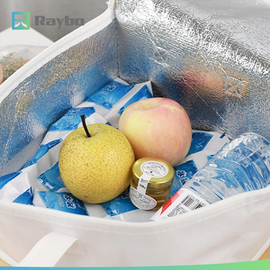 RAYBO OEM Ecologisch verantwoorde, op maat gemaakte transportkoeling, ijsgelpack, koude gelpack, ijspack voor voedselvervoer - Product Image 4