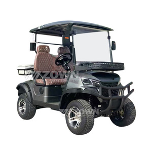 Carrito de golf de lujo gris oscuro para 2 pasajeros con asientos de cuero acolchado, portaequipajes delantero y defensa antichoque de alta resistencia para villas y propiedades. - Product Image 1
