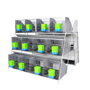 Ladder type 24 position rabbit cage