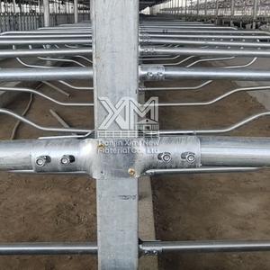 Establo Libre para Vacas de Leche, de Alta Resistencia, Galvanizado en Caliente, Cubículo Personalizado de Una o Dos Filas para Granjas Lecheras - Product Image 6