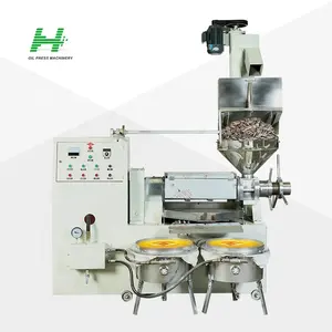 Machine de fabrication d'huile 500 kg/h 6yl130 Inde presse à froid spéciale pour graines de tournesol presse à huile