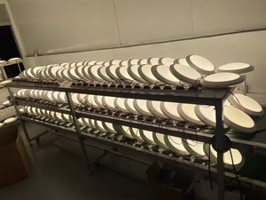 Chi phí hiệu suất không thấm nước vách ngăn ánh sáng LED trần ánh sáng đèn IK10 <span class=keywords><strong>IP65</strong></span> ceil đèn khẩn cấp Cảm biến cho phòng khách văn phòng - Product Image 4