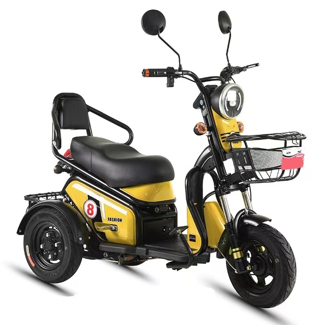 Electric 3 Wheels Scooter Bike Bicycle for Adults