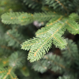 Pré décoré pour l'arbre de Chrsiatmas Oem dans un arbre de Noël unique pour la décoration extérieure ou intérieure - Product Image 4
