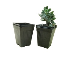Pots de pépinière, plateaux de pépinière, pots de pépinière en plastique de 4 pouces avec trous de drainage, pots pour plantes succulentes, jardinières pour cactus