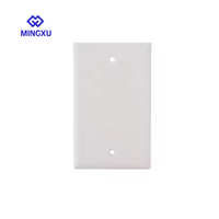 Plaque murale double durable en PVC 86x86 pour boîtier de jonction, interrupteur électrique et prise murale pour l'amélioration de l'habitat