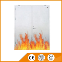 Porte commerciale moderne en acier galvanisé coupe-feu avec barre anti-panique et verre fini pour appartement, hôtel, école – Durée de résistance 20 min à 3 heures