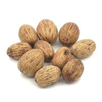 Plantes aquatiques PKY Gumnuts, capsules de graines naturelles pour la décoration des aquariums d'eau noire, grotte cachette pour poissons et crevettes