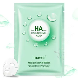 Máscara facial hidratante de ácido hialurônico para cuidados com a pele, aloe vera e mel barata, controle de óleo, extrato de plantas anti-acne, máscara facial hidratante