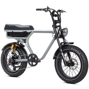 Dos ruedas en suspensión <span class=keywords><strong>fatbike</strong></span> 500W <span class=keywords><strong>BAFANG</strong></span> Motor Harle adultos Fat bike eléctrica - Product Image 1
