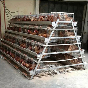 Mạ kẽm Pin lớp gà lồng 3/4 tầng trứng gà lồng gà lớp gà Lồng cho trang trại để bán giá chi phí thấp - Product Image 6