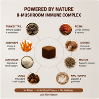 Friandises à mâcher pour chiens 8 champignons complexe immunitaire Curcuma sans céréales Soutient l'immunité, les articulations, la peau, le pelage et la vitalité