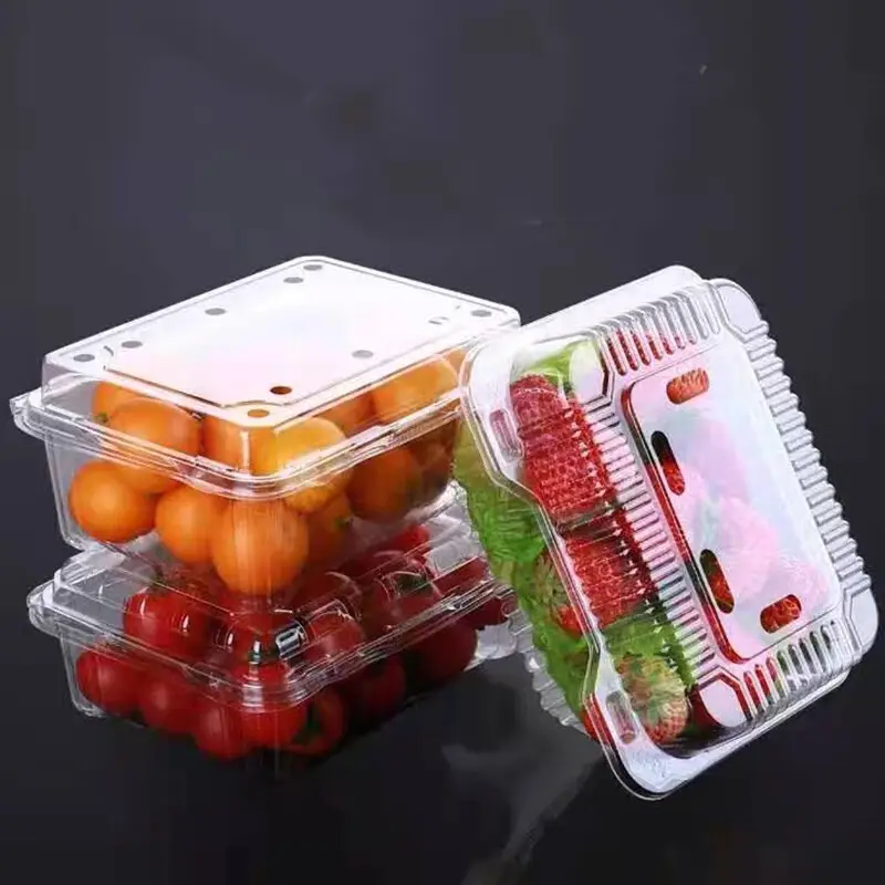 Caja de ensalada de fruta de concha con bisagras para mascotas de plástico transparente, contenedor de delicatessen transparente para fruta cortada