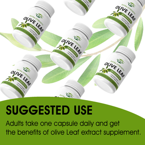 OEM ODM suplemen <span class=keywords><strong>Herbal</strong></span> penjualan laris 50% kapsul ekstrak daun zaitun Eropa - Product Image 5