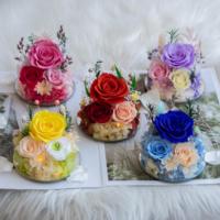 Lovebay Valentijnsdag Moederdag Cadeau Ge conserveerde Bloemen in Hoekvormig Glas met Licht Natuurlijke Eeuwig Ge conserveerde Rozen in Glas