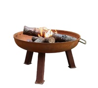 Barbecue et camping en plein air avec foyers à bois