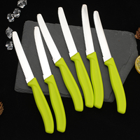 Ensemble de 6 couteaux à steak dentelés Modern Home, lame en acier inoxydable, manche en PP, design élégant, boîte de couleur, couverts