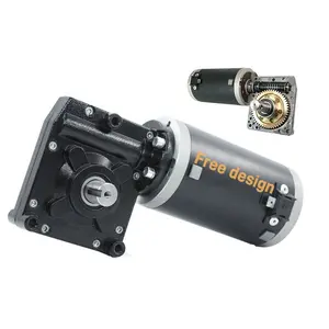 Motor de engrenagem sem-fim DC de eixo duplo codificador 12V 24V 400W 500W DC