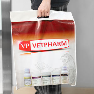 Bolsas de Compras Personalizadas al por Mayor con Logotipo, Bolsas de Plástico con Asas, Bolsas de Regalo Troqueladas para Tiendas de Ropa y Boutiques - Product Image 6