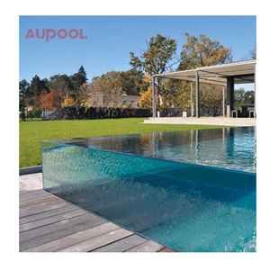 Proveedores China Acrílico transparente al aire libre Jet Shell Inground Fibra de vidrio Swim Spa Piscina - Product Image 3