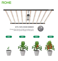 Offre Spéciale 10 barres à spectre complet 1000W LED élèvent des lumières pour serre en aluminium IP65 pour la culture de fleurs couleur blanc chaud