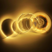 Lampu LED Strip SMD2835 Tembaga DC5V/12V/24V PCB 8mm 120 LED/meter IP65 Tahan Air untuk Lanskap USB Lampu LED Strip Dalam Ruangan