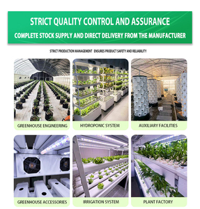 GoodGrowing Caja de Cultivo Inteligente para Hongos, para la Cultivo de 40 Sacos de Cultivo <span class=keywords><strong>en</strong></span> Contenedores de 40 pies, <span class=keywords><strong>Precio</strong></span> de Granja <span class=keywords><strong>en</strong></span> Contenedor de 40 pies - Product Image 4