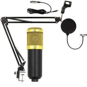 BM800プロ用ミニコンデンサーマイクカーディオイドプラスチック有線デスクトップPC電話ポータブルスタジオレコーディングスマートボックスメタル - Product Image 1