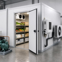 Chambre froide de grande capacité avec panneaux isolants en PU épais et système de dégivrage automatique pour le stockage rapide des aliments surgelés en usine