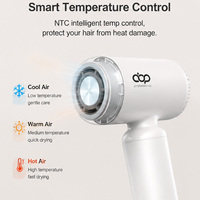 Sèche-cheveux électrique mini 1300W en plastique à moteur DC - Séchage rapide, portable, pour salon, voyage, extérieur, camping-car, usage domestique et hôtelier