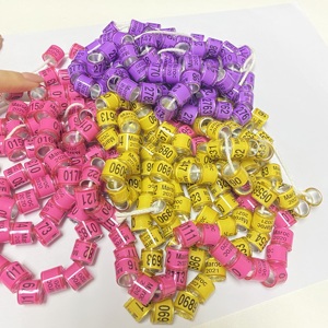 Fasce di piccione Multicolor anelli di zampa di colomba anelli di piccione per pulcini piccioncini piccioncini quaglia piccolo pollame // - Product Image 4