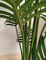 Plantes artificielles pour aménagement paysager, arbre bonsaï, plantes en plastique, pots, Chrysalidocarpus Lutescens, décoration intérieure