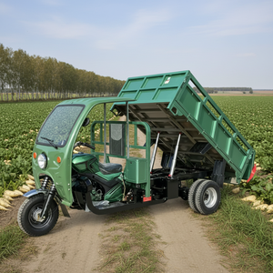 Tricycle motorisé 200CC à 3 roues pour le transport de marchandises, véhicule agricole à benne basculante <span class=keywords><strong>grande</strong></span> capacité pour la vente - Product Image 6