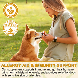 Vente en gros Supplément d'aide anti-démangeaisons pour animaux de compagnie 180 comprimés pilules de soulagement des allergies pour la peau et le pelage des chiens soutien immunitaire - Product Image 6