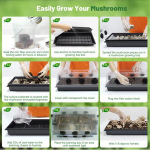 Kit de culture de champignons en plastique complet EDKFARM, boîte pour champignons, coton filtrant, tampon de plantation de semis, papier réutilisable - Product Image 4