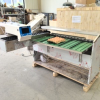 Automatische Eieren Sorteermachine 10000 Eieren/uur Kippeneieren Sorteermachine Graderings- en Verpakkingsmachine voor Pluimvee