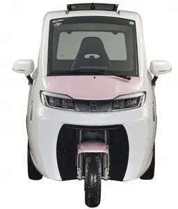 Electric Passenger Tricycle 3 Wheel Electric Vehicle With Enclosed Design For Adults