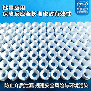 ซีลวาล์ว Dongsheng DSH วัสดุ PTFE สำหรับเครื่องปฏิกรณ์เคมี แหวนซีลมาตรฐาน ป้องกันฝุ่น กันน้ำ ทนการกัดกร่อน - Product Image 2