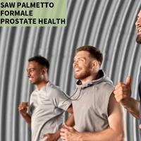 Capsules d'extrait de palmier nain très vendues pour soutenir la santé de la prostate – Capsules de palmier nain pour hommes