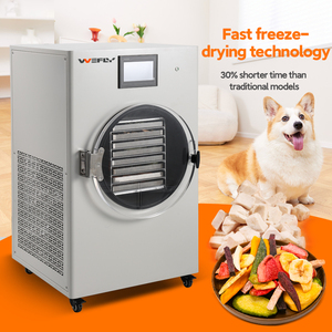 جهاز تجفيف بالتجميد صغير من WEFLY الصينية بسعة 6 كجم موفر للطاقة معدات تجفيف بالتفريغ لمعالجة الأغذية متوافق مع 220 فولت/110 فولت - Product Image 3