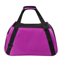 Transporteurs à la mode sac maisons Transparent voyage Portable compagnie aérienne approuvé respirant Transport chat transporteur