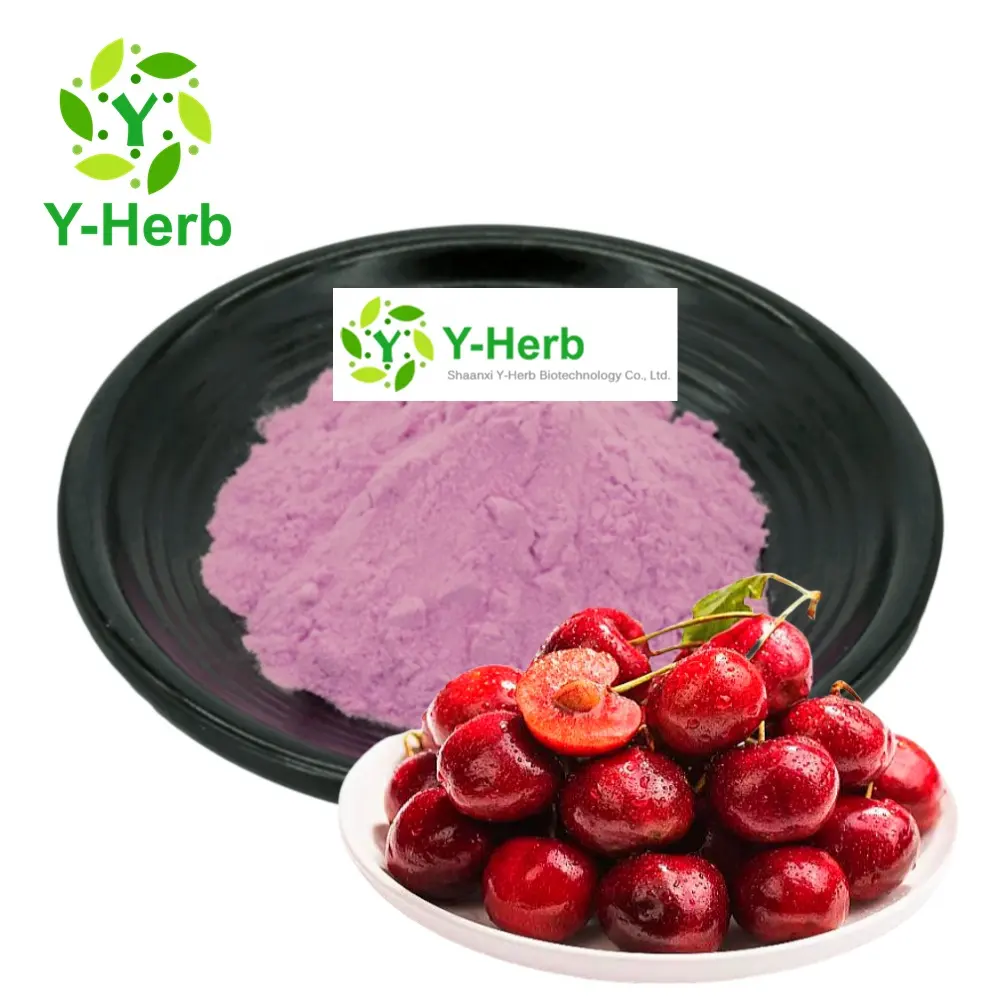 Preço de fábrica suco de cereja solúvel em água a granel 25% VC em pó 10:1 Ying Tao/cereja Acerola/extrato de cereja torta